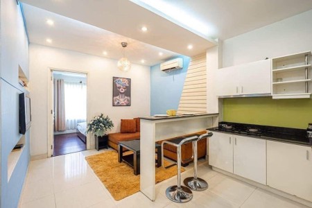 Căn hộ 1 phòng ngủ riêng full nội thất ở bệnh viên Thống Nhất Tân Bình, 45m2