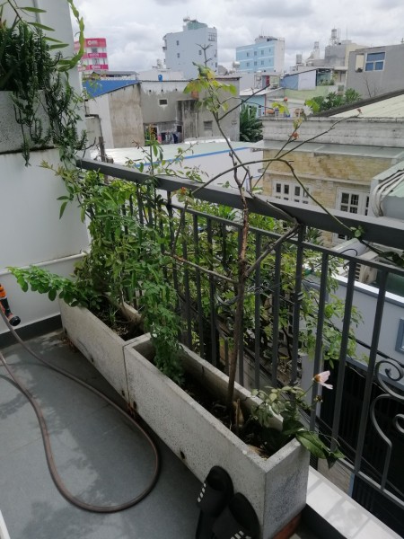 Phòng trọ Cao Cấp 21m2 gần ST AEON Tân Phú, 21m2