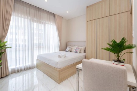 Quận 1 Căn hộ mini cửa sổ thoáng sáng gần chợ Tân Định cv Lê Văn Tám, 28m2