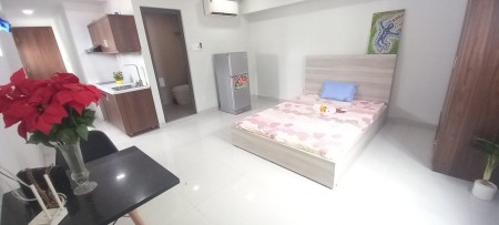 Cho thuê CHDV mini studio-27m2-Gần cresscent mall-quận 7, 27m2