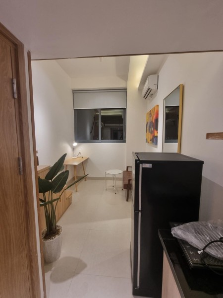 CĂN HỘ DUPLEX NGAY LOTTE MART NỘI THẤT TÔNG GỖ, 30m2