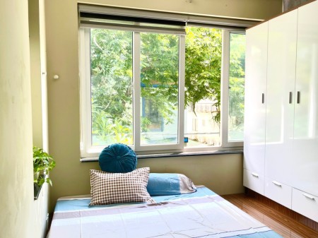 Bạn Đang Tìm Căn Hộ 1PN Ngay Phú Mỹ Hưng Ư? Có Ngay Cho Bạn Đây, 45m2