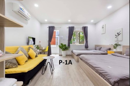 Cho thuê căn hộ Q1, ban công, tách bếp, gần chợ Tân Định, CV Lê Văn Tám, 40m2