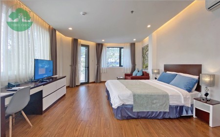 Căn hộ 1PN+ phòng khách riêng biệt + 50m2 + có Ban Công Tân Bình, 50m2
