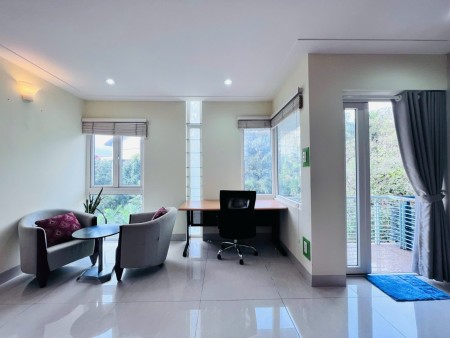 Cho thuê căn hộ full nội thất - ban công rộng ngay phú Mỹ quận 7, 35m2