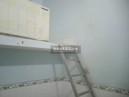 Cần người ở ghép chung cho vui., 20m2