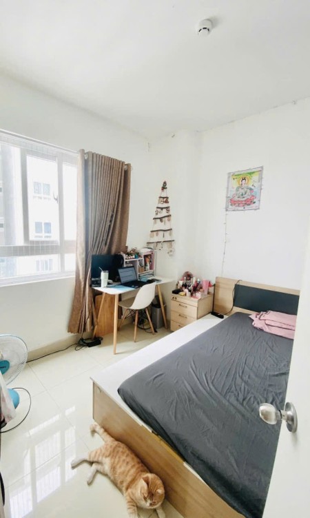 Chung cư Topaz Garden, Trịnh Đình Thảo, TP: 75m2, 2pn, có NT, 9tr, 75m2