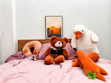 Cho Thuê Căn Hộ 1 Phòng Ngủ Giá Rẻ Q.Tân Bình ( Gần Sân Bay ), 35m2