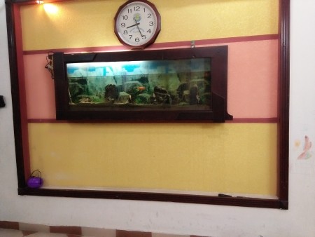 HOMESTAY NẮNG THU - CHO THUÊ PHÒNG NGÕ 105 LÁNG HẠ GẦN YÊN LÃNG VÀ THÁI HÀ - NGÀY 01/9/26 VÀO Ở, 35m2