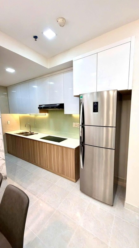 Chung cư Hamona-Tân Bình 82m2 2PN nội thất cao cấp giá thuê 12 tr/th, 82m2